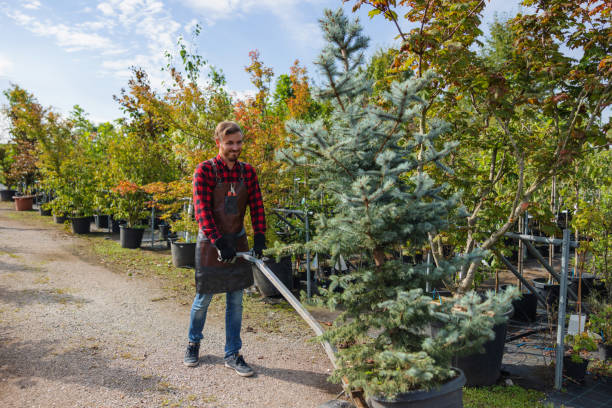 Lawn Watering Services in Thayer, MO